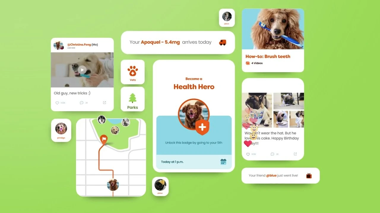 MyPetFam's full ecosystem: content, reminders, badges, maps and community in one view