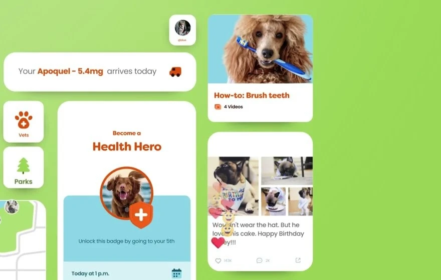 MyPetFam's Health Hero badge, medication delivery reminder and content cards