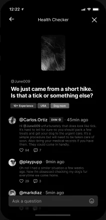 The photograph posted as a question, with a vet's reply first