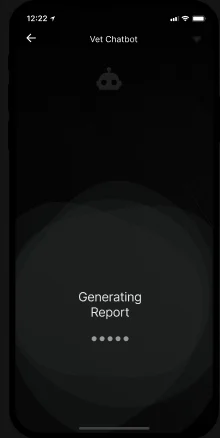 Generating the vet report from the chat