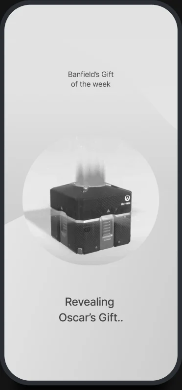 The box being revealed