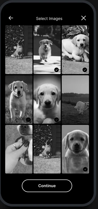 Choosing photographs of a puppy