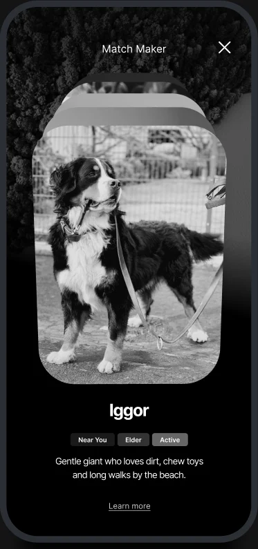 A nearby dog's card