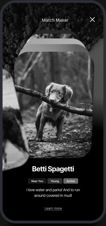 Another dog's card
