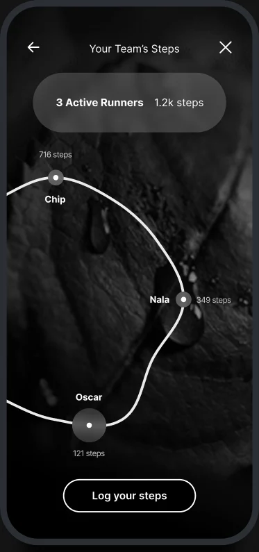 The team's steps on a map